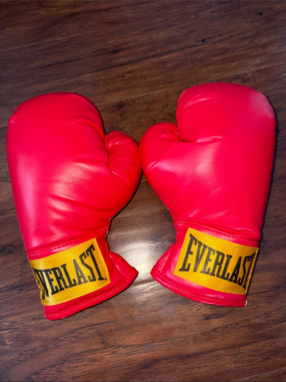 EVERLAST BOXING GLOVES 8 OZ